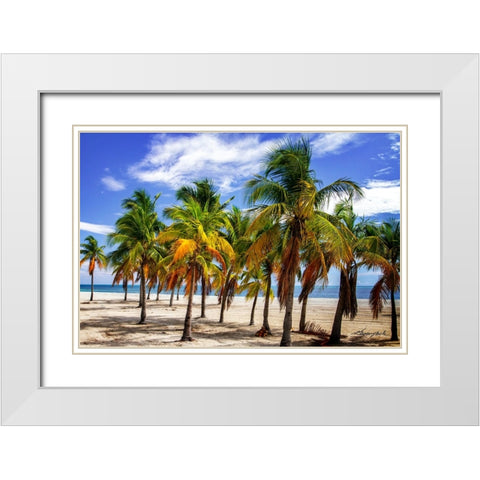 Palms on the Beach I White Modern Wood Framed Art Print with Double Matting by Hausenflock, Alan