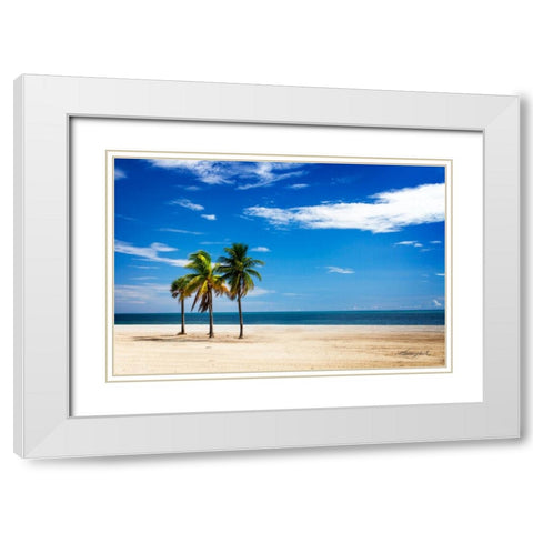 Palms on the Beach III White Modern Wood Framed Art Print with Double Matting by Hausenflock, Alan