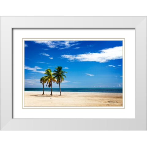 Palms on the Beach III White Modern Wood Framed Art Print with Double Matting by Hausenflock, Alan