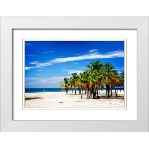 Palms on the Beach IV White Modern Wood Framed Art Print with Double Matting by Hausenflock, Alan