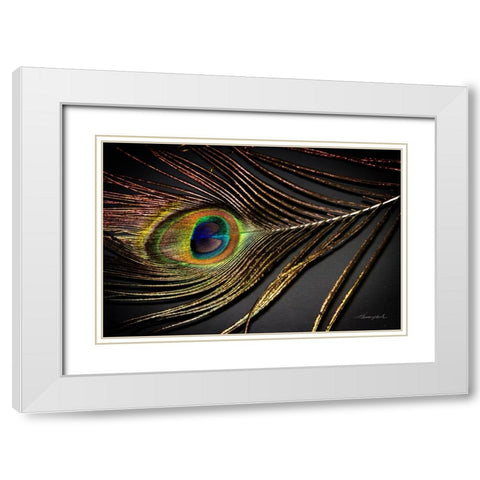 Peacock Feather II White Modern Wood Framed Art Print with Double Matting by Hausenflock, Alan