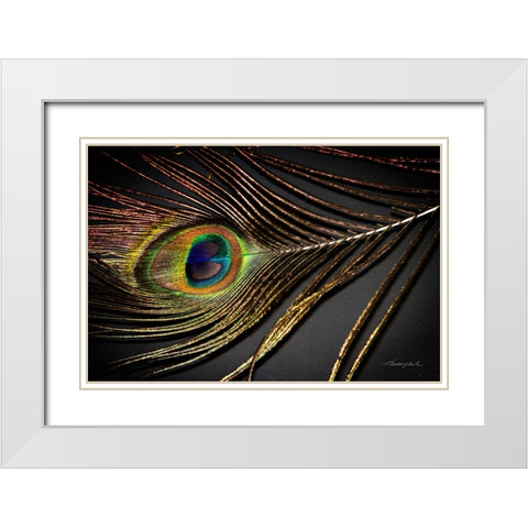 Peacock Feather II White Modern Wood Framed Art Print with Double Matting by Hausenflock, Alan