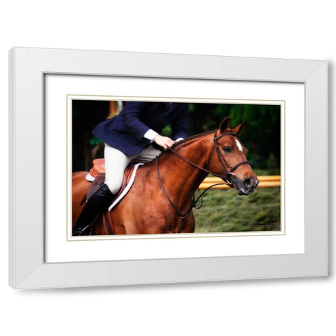 Dressage I White Modern Wood Framed Art Print with Double Matting by Hausenflock, Alan