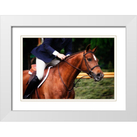 Dressage I White Modern Wood Framed Art Print with Double Matting by Hausenflock, Alan