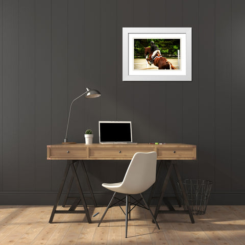 Jumping Hunter III White Modern Wood Framed Art Print with Double Matting by Hausenflock, Alan