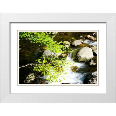 Crabtree Creek White Modern Wood Framed Art Print with Double Matting by Hausenflock, Alan