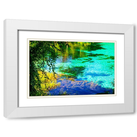 Rainbow River White Modern Wood Framed Art Print with Double Matting by Hausenflock, Alan