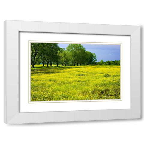Wildflowers White Modern Wood Framed Art Print with Double Matting by Hausenflock, Alan