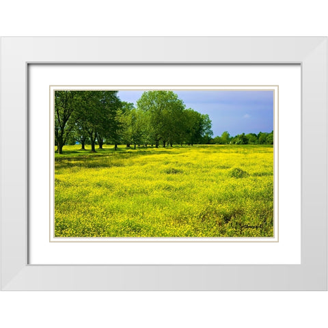 Wildflowers White Modern Wood Framed Art Print with Double Matting by Hausenflock, Alan