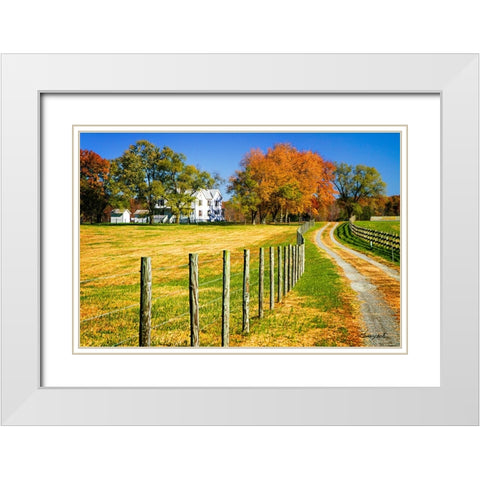 Homestead White Modern Wood Framed Art Print with Double Matting by Hausenflock, Alan