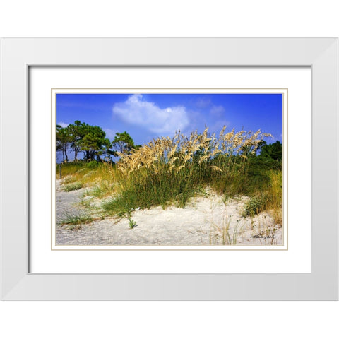 Cape Lookout Island White Modern Wood Framed Art Print with Double Matting by Hausenflock, Alan