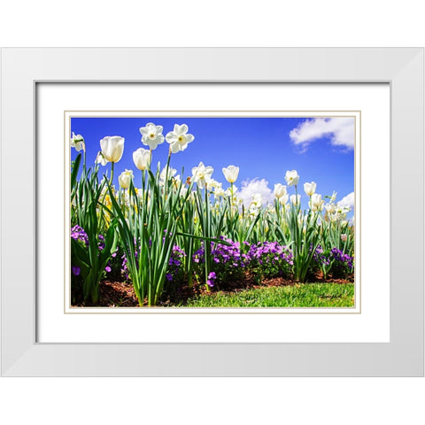 Flower Border I White Modern Wood Framed Art Print with Double Matting by Hausenflock, Alan