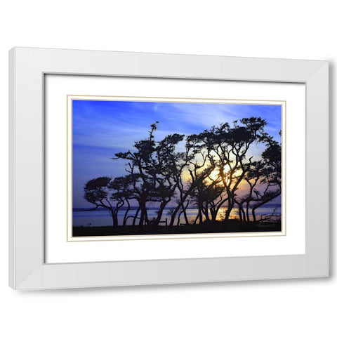 Lennoxville Point White Modern Wood Framed Art Print with Double Matting by Hausenflock, Alan