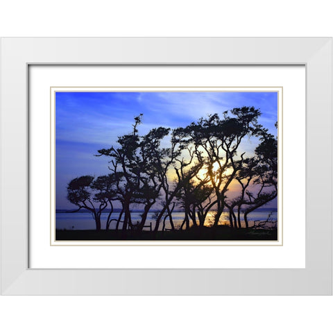 Lennoxville Point White Modern Wood Framed Art Print with Double Matting by Hausenflock, Alan