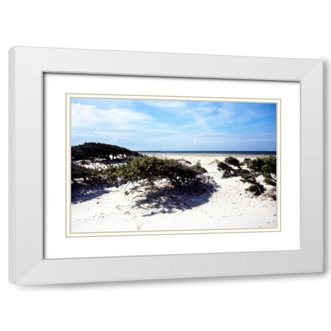 Cedar Island I White Modern Wood Framed Art Print with Double Matting by Hausenflock, Alan