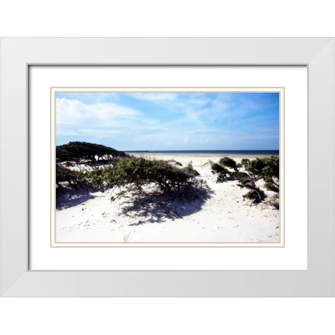 Cedar Island I White Modern Wood Framed Art Print with Double Matting by Hausenflock, Alan