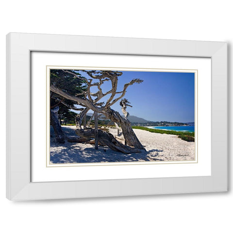 Carmel Beach White Modern Wood Framed Art Print with Double Matting by Hausenflock, Alan