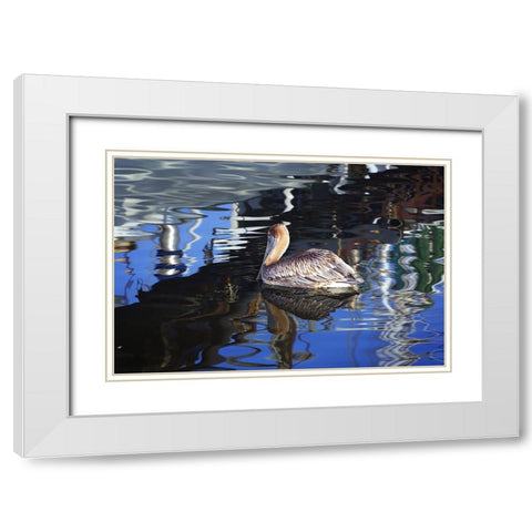 Reflections And a Pelican White Modern Wood Framed Art Print with Double Matting by Hausenflock, Alan