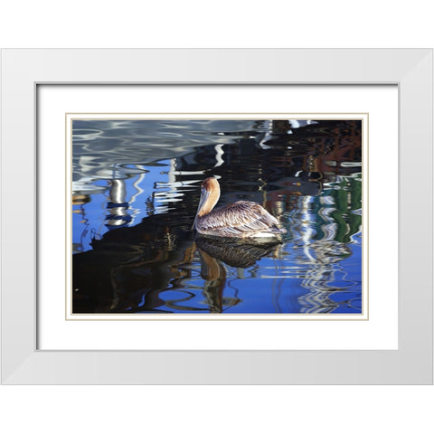 Reflections And a Pelican White Modern Wood Framed Art Print with Double Matting by Hausenflock, Alan