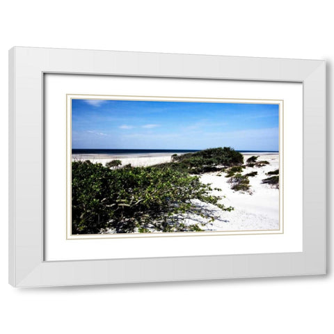 Cedar Island II White Modern Wood Framed Art Print with Double Matting by Hausenflock, Alan