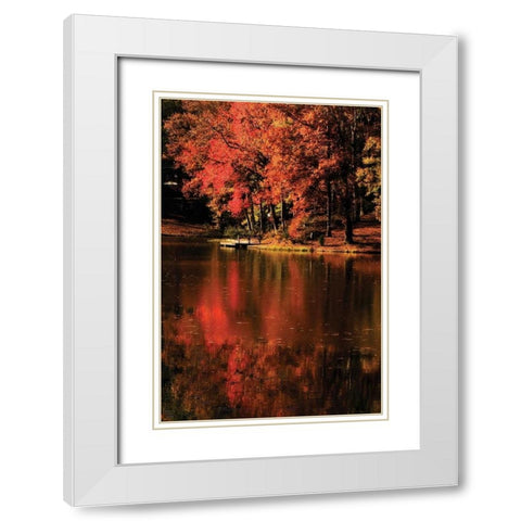 Red Reflections White Modern Wood Framed Art Print with Double Matting by Hausenflock, Alan