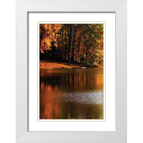 Gold Reflections White Modern Wood Framed Art Print with Double Matting by Hausenflock, Alan