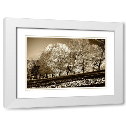 Falling Leaves White Modern Wood Framed Art Print with Double Matting by Hausenflock, Alan