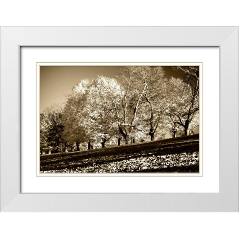 Falling Leaves White Modern Wood Framed Art Print with Double Matting by Hausenflock, Alan