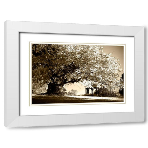 Gazebo White Modern Wood Framed Art Print with Double Matting by Hausenflock, Alan