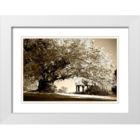 Gazebo White Modern Wood Framed Art Print with Double Matting by Hausenflock, Alan