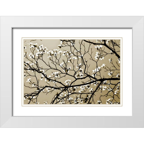 Dogwood I White Modern Wood Framed Art Print with Double Matting by Hausenflock, Alan