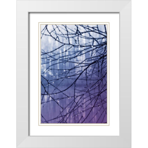 Droplets I White Modern Wood Framed Art Print with Double Matting by Hausenflock, Alan