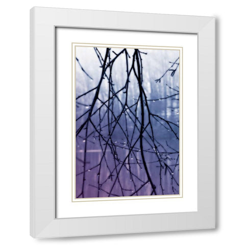 Droplets II White Modern Wood Framed Art Print with Double Matting by Hausenflock, Alan