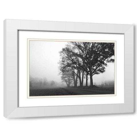 Rural Point Road White Modern Wood Framed Art Print with Double Matting by Hausenflock, Alan