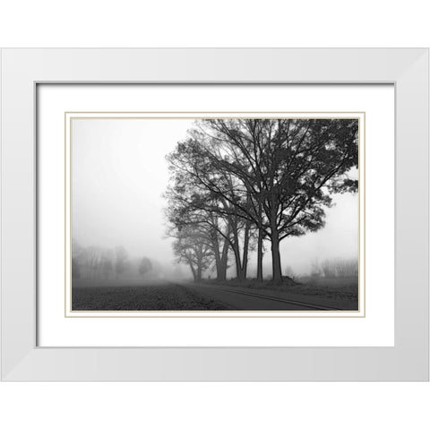 Rural Point Road White Modern Wood Framed Art Print with Double Matting by Hausenflock, Alan