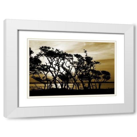 Blissful Shore II White Modern Wood Framed Art Print with Double Matting by Hausenflock, Alan