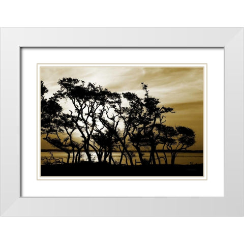 Blissful Shore II White Modern Wood Framed Art Print with Double Matting by Hausenflock, Alan