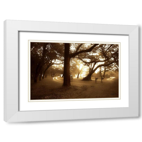 Salvation Retreat I White Modern Wood Framed Art Print with Double Matting by Hausenflock, Alan