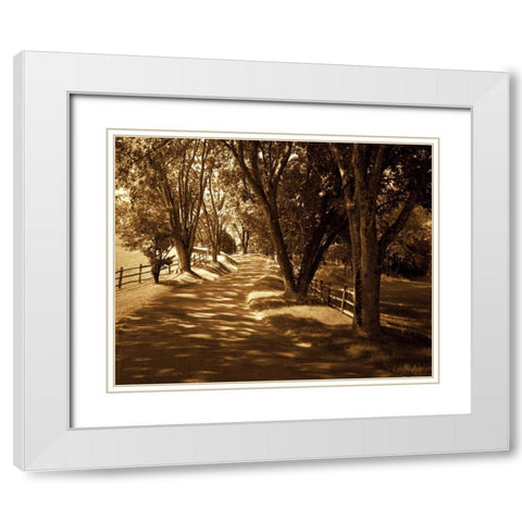 Summer Stroll I White Modern Wood Framed Art Print with Double Matting by Hausenflock, Alan