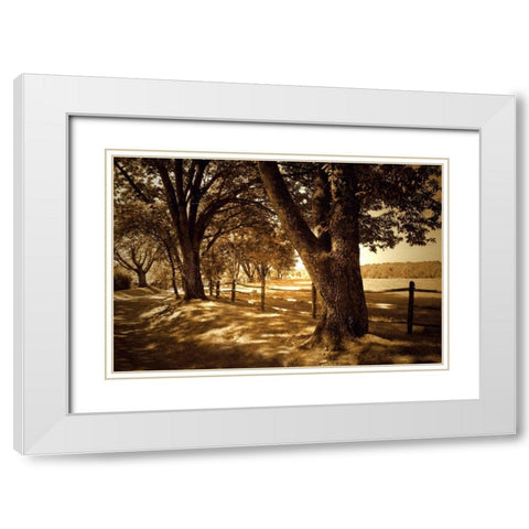 Summer Stroll II White Modern Wood Framed Art Print with Double Matting by Hausenflock, Alan