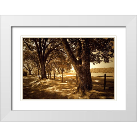 Summer Stroll II White Modern Wood Framed Art Print with Double Matting by Hausenflock, Alan