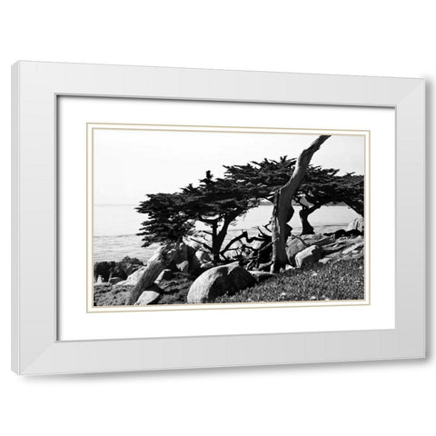 Ocean View II White Modern Wood Framed Art Print with Double Matting by Hausenflock, Alan