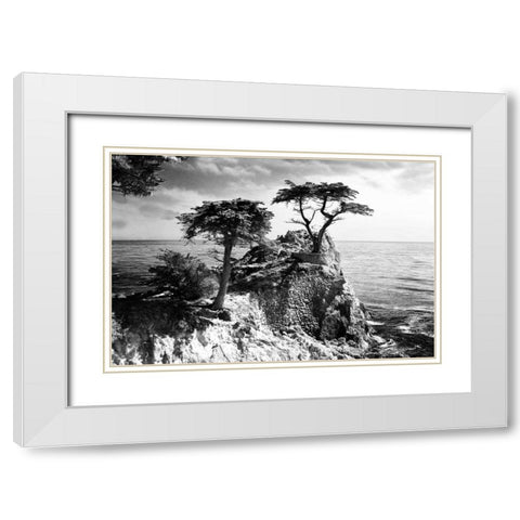 Ocean Cliff I White Modern Wood Framed Art Print with Double Matting by Hausenflock, Alan