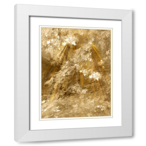 Fractal Light II White Modern Wood Framed Art Print with Double Matting by Hausenflock, Alan