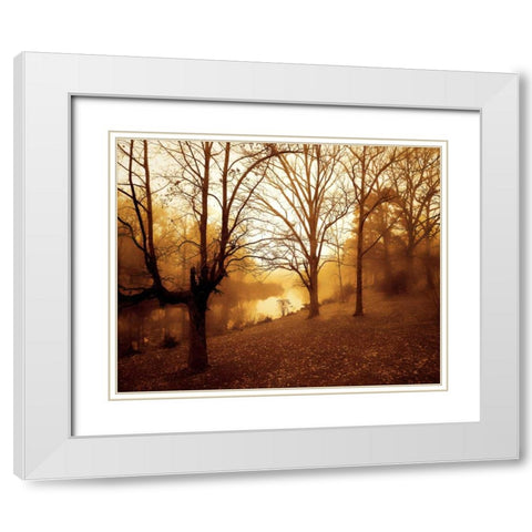 Peaceful I White Modern Wood Framed Art Print with Double Matting by Hausenflock, Alan