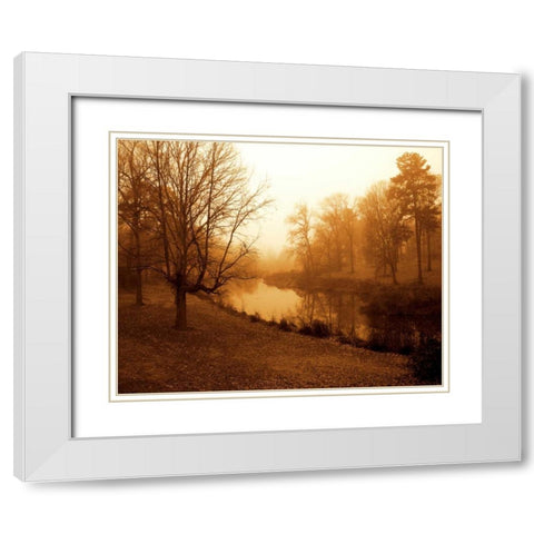 Peaceful II White Modern Wood Framed Art Print with Double Matting by Hausenflock, Alan