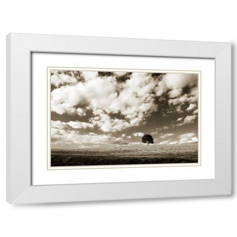 Cloudy Skies I White Modern Wood Framed Art Print with Double Matting by Hausenflock, Alan