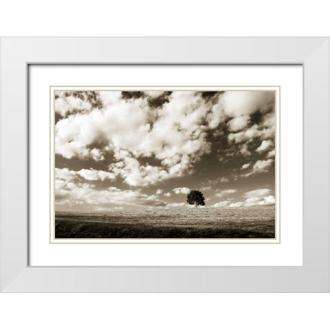 Cloudy Skies I White Modern Wood Framed Art Print with Double Matting by Hausenflock, Alan