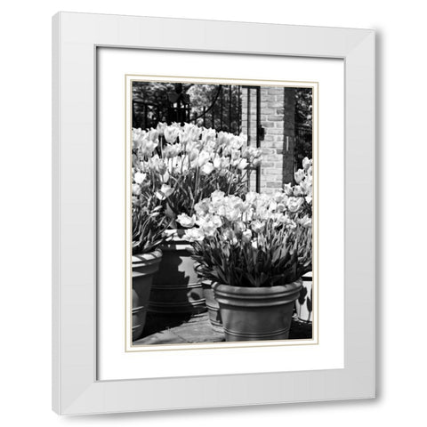 Spring Tulips I White Modern Wood Framed Art Print with Double Matting by Hausenflock, Alan