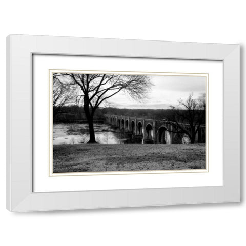 Bridge Across the James V White Modern Wood Framed Art Print with Double Matting by Hausenflock, Alan